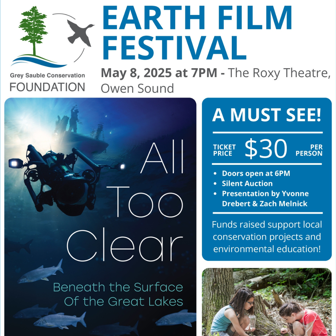 Event image Earth Film Festival